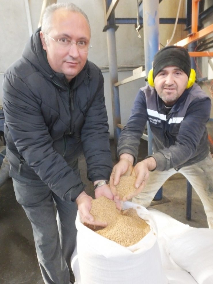 Burhaniye’de zeytin çekirdeğine Almanya’dan talep var