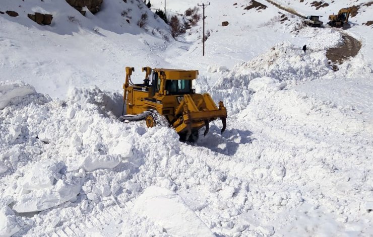 Van'da çığ nedeniyle kapanan yol açıldı