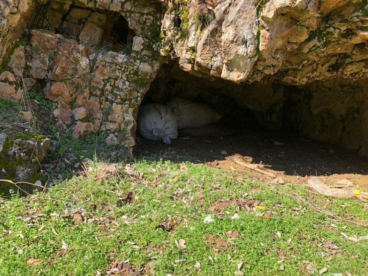 Diyarbakır'da 300 kilogram esrar ele geçirildi