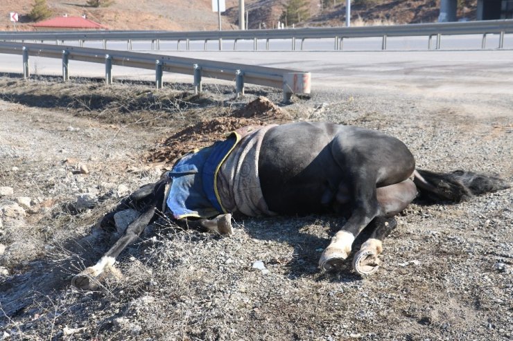 Karayoluna çıkması sonu oldu