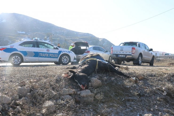Karayoluna çıkması sonu oldu