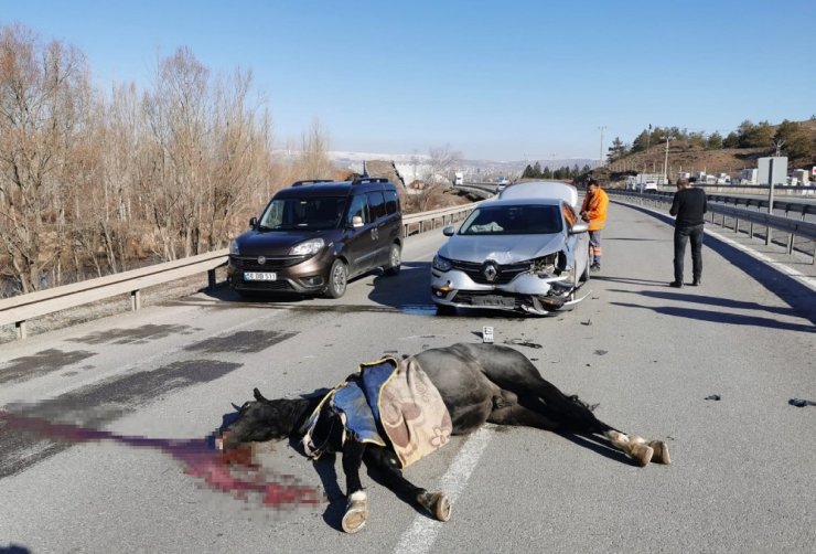 Karayoluna çıkması sonu oldu