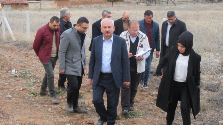 Coğrafi işaretli ’Delice beyazı üzüm’den 150 bin adet üretilecek