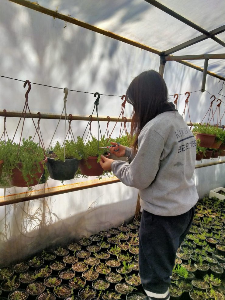 Kırıkkale'de park ve bahçelere yaz bakımı