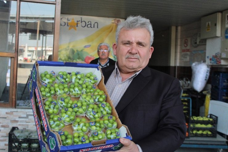 Turfanda erik cep yakıyor