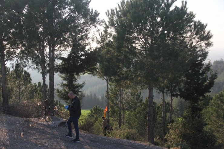 Ağaçta asılı bulundu