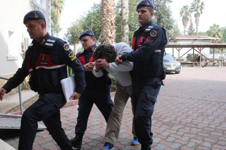 Aranan şahıs için baskın yaptıkları evde uyuşturucu tarlasıyla karşılaştılar