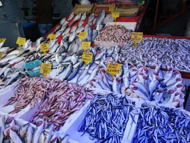 Sıcak havalar balık fiyatlarını düşürdü