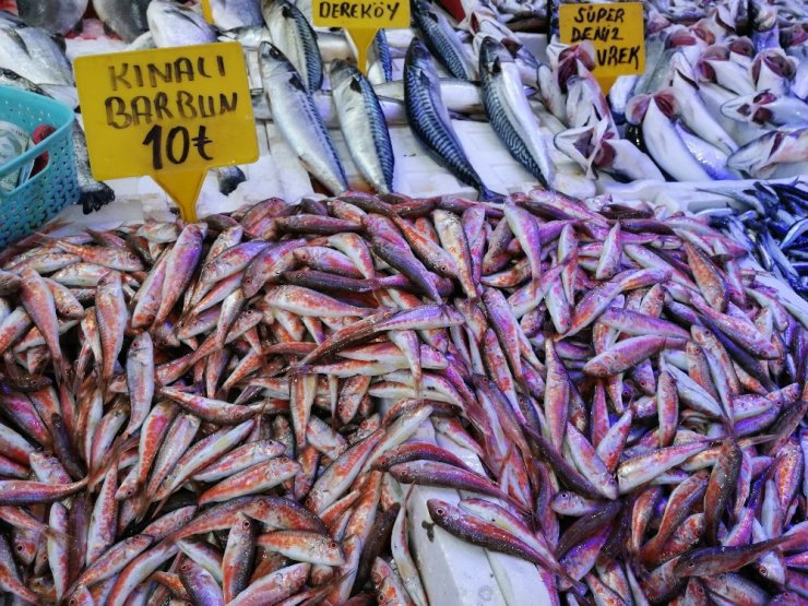 Sıcak havalar balık fiyatlarını düşürdü