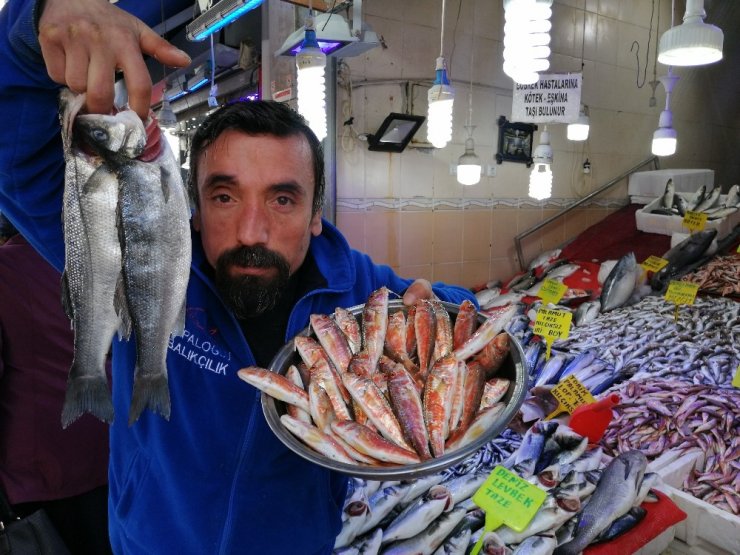 Sıcak havalar balık fiyatlarını düşürdü
