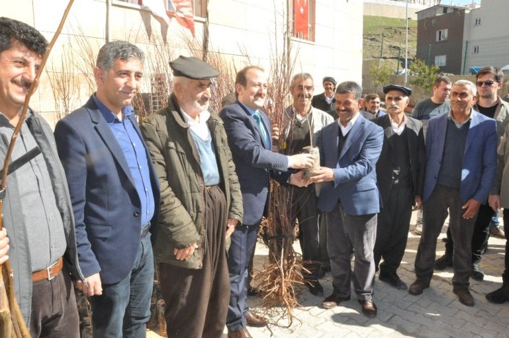 Şırnak’ta çiftçilere 27 bin 700 adet meyve fidanı fidan dağıtıldı
