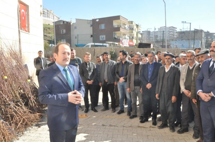 Şırnak’ta çiftçilere 27 bin 700 adet meyve fidanı fidan dağıtıldı