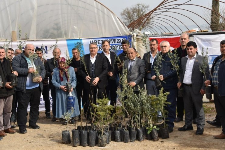 Yunusemre’den üreticiye fidan desteği
