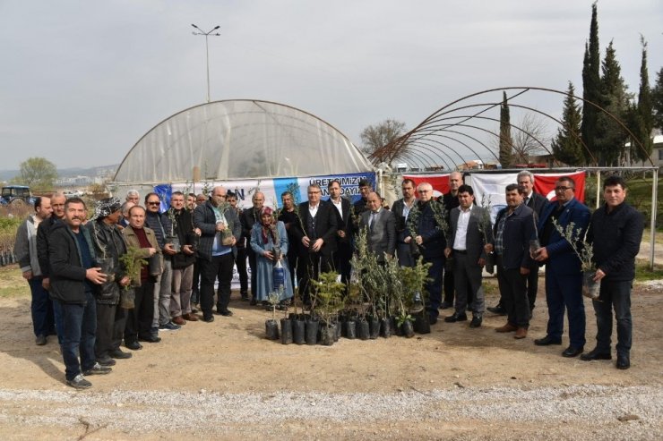 Yunusemre’den üreticiye fidan desteği