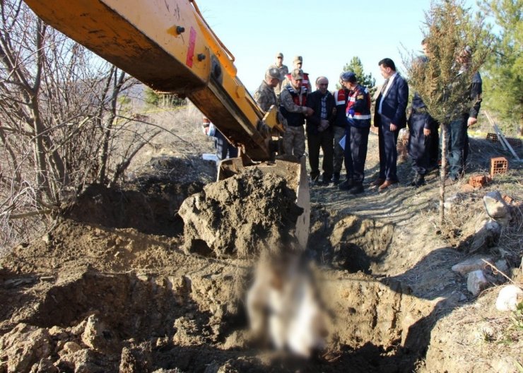 8 yıldır kayıptı, cinayeti jandarma ortaya çıkardı