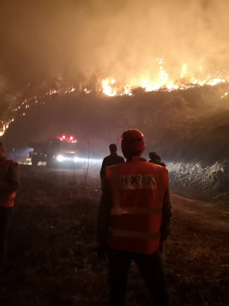Arhavi’deki orman yangını kontrol altına alındı