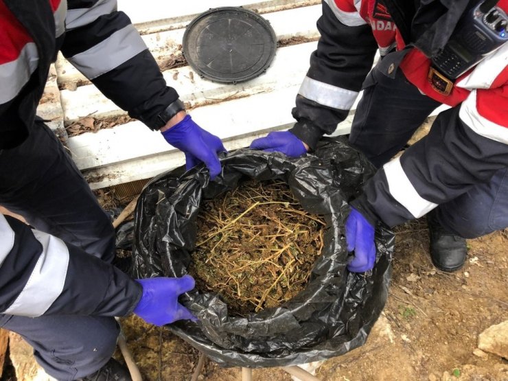 Bidondan 4 kilo esrar ve tüfek çıktı