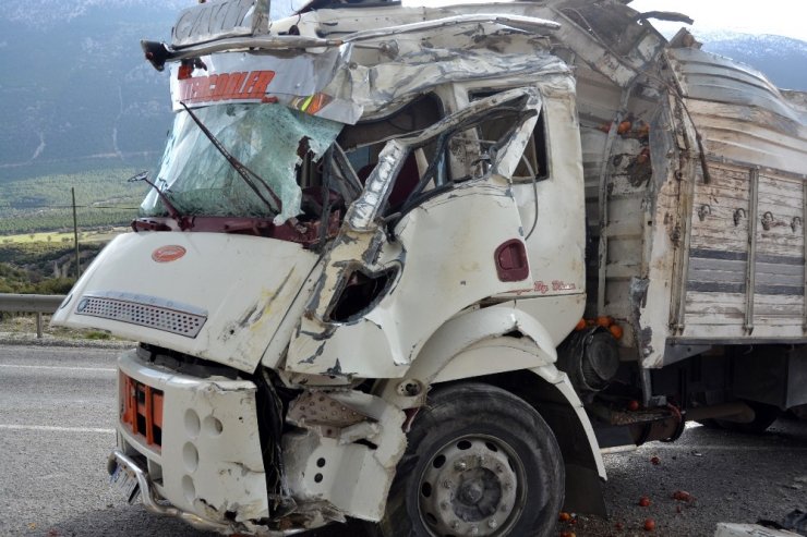 Devrilen kamyondaki tonlarca meyve ve sebze yola saçıldı