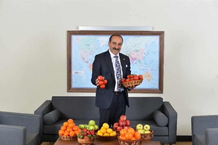 Türk domatesi Rusya vizesini kaptı