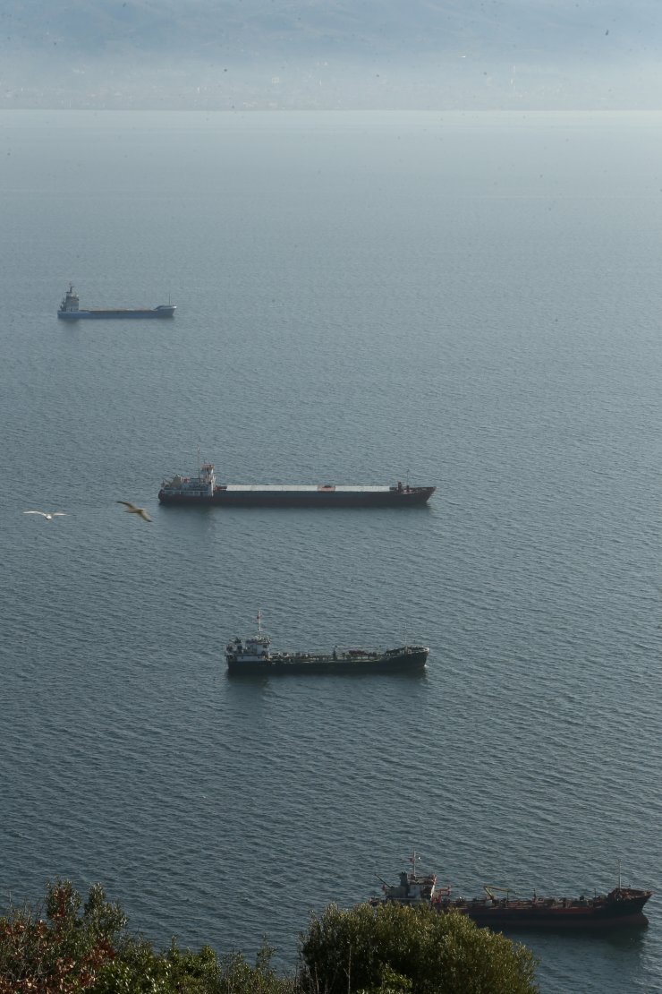 Kocaeli limanlarından "dünyanın yükü" taşınıyor