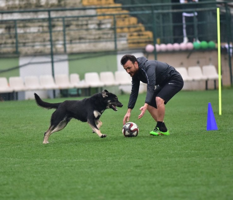 Manisa FK’da hazırlıklar devam ediyor