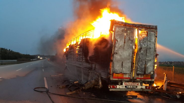 Osmaniye'de halı yüklü tırın dorsesi yandı