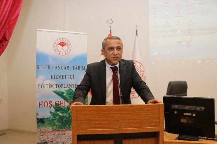 Samsun’da şeker pancarı üretimi 430 bin tondan 66 bin tona düştü