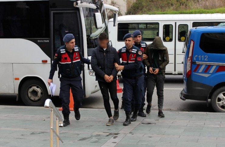 Alanya’da avokado hırsızları jandarmaya takıldı