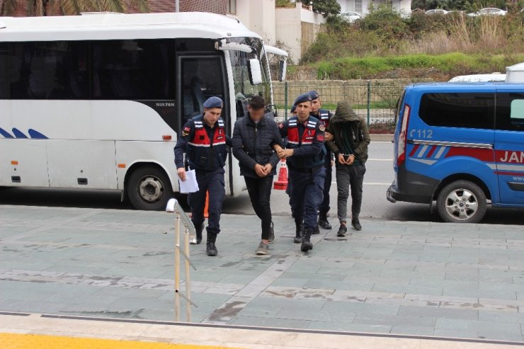 Alanya’da avokado hırsızları jandarmaya takıldı