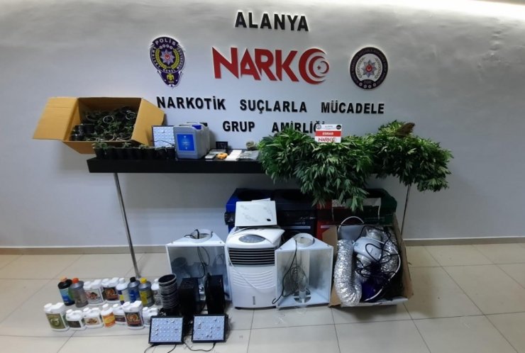 Lüks villayı uyuşturucu serasına çevirmişler