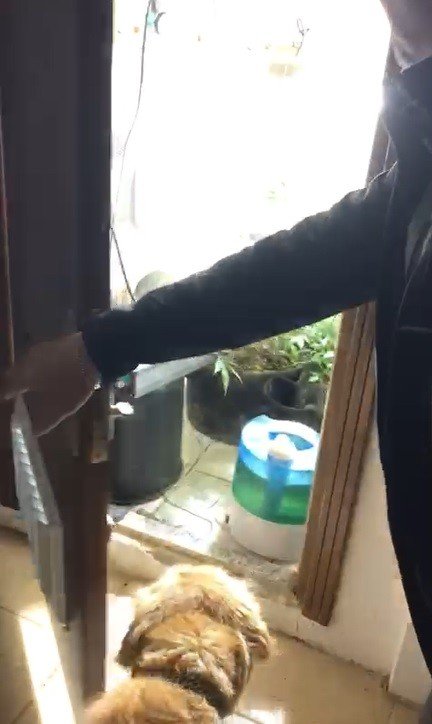 Pansiyondaki odalardan uyuşturucu imalatı için düzenek çıktı