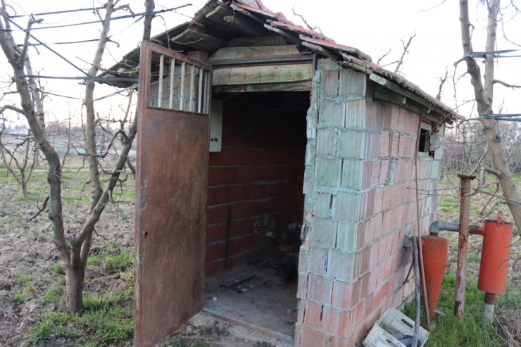 Tarla faresi yakalandı