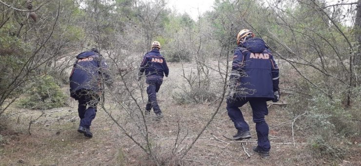 80 kişilik ekip hem havadan, hem karadan arıyor