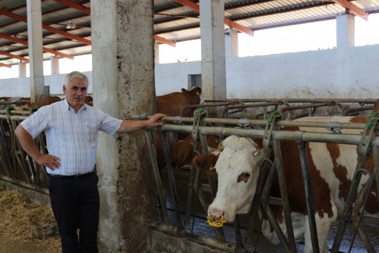 TKDK desteğiyle AB standartlarında süt üretim çiftliği kurdu