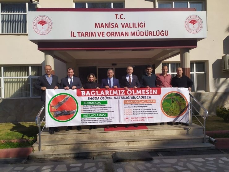 Manisa’da bağlarda Ölükol hastalığına karşı mücadele seferberliği