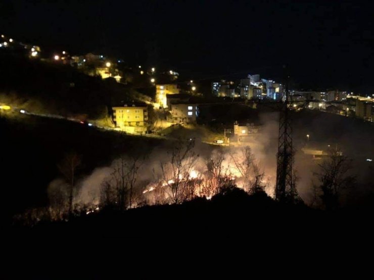 Giresun’da ormanlık alanda yangın