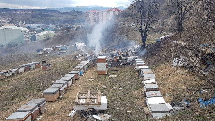 Arıların bakımı için bıraktığı kovan körüğü yangın çıkardı