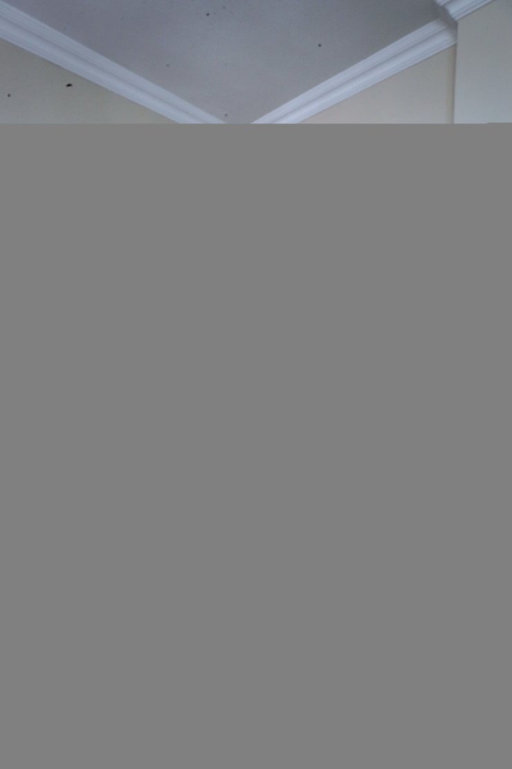 Vitamin deposu cevizi, sanat eserine dönüştürüyor