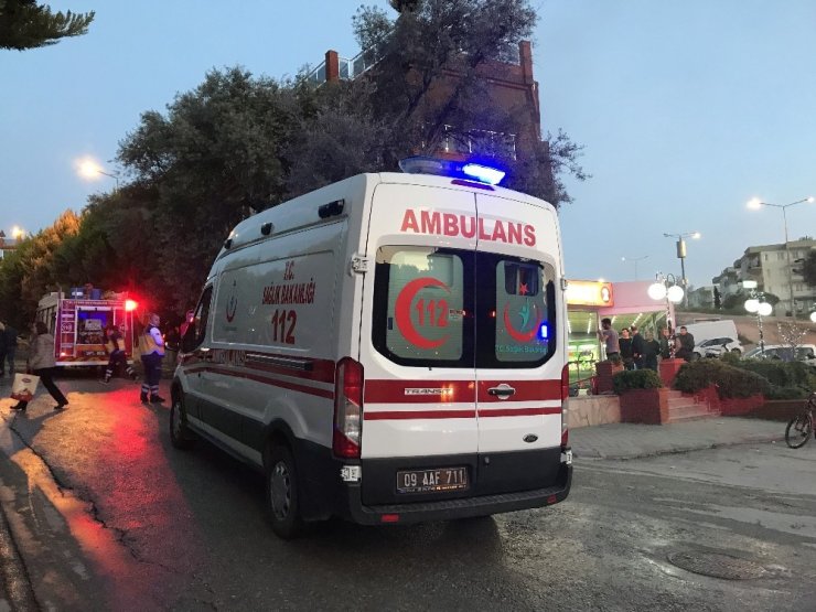 Yangında kediler telef olmadan kurtuldu