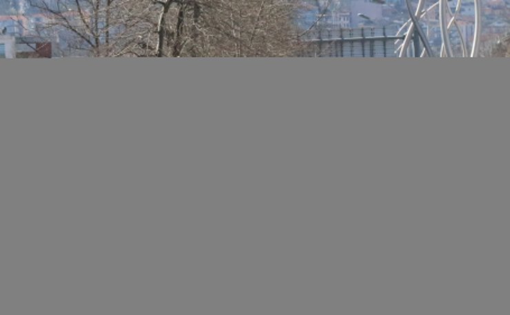 Sakarya'da Mehmetçiğe destek konvoyu düzenlendi