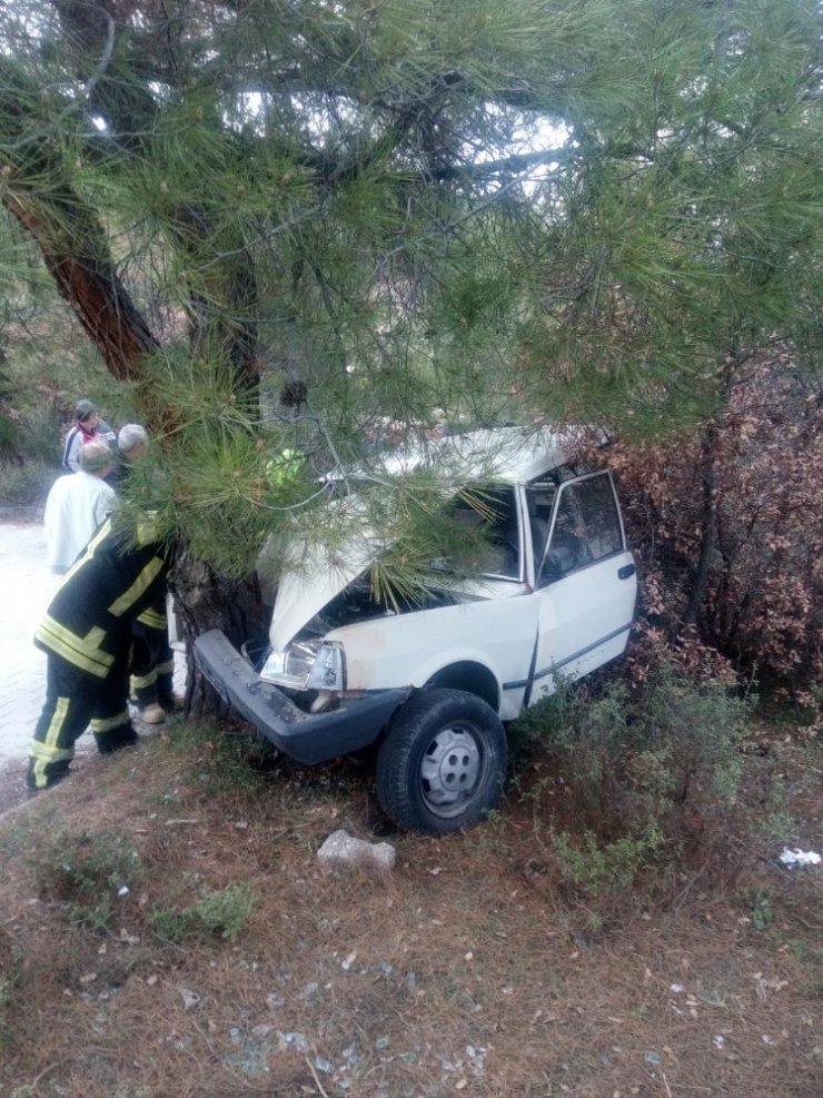 Denizli’de otomobil ağaca çarptı: 1 ölü, 1 yaralı