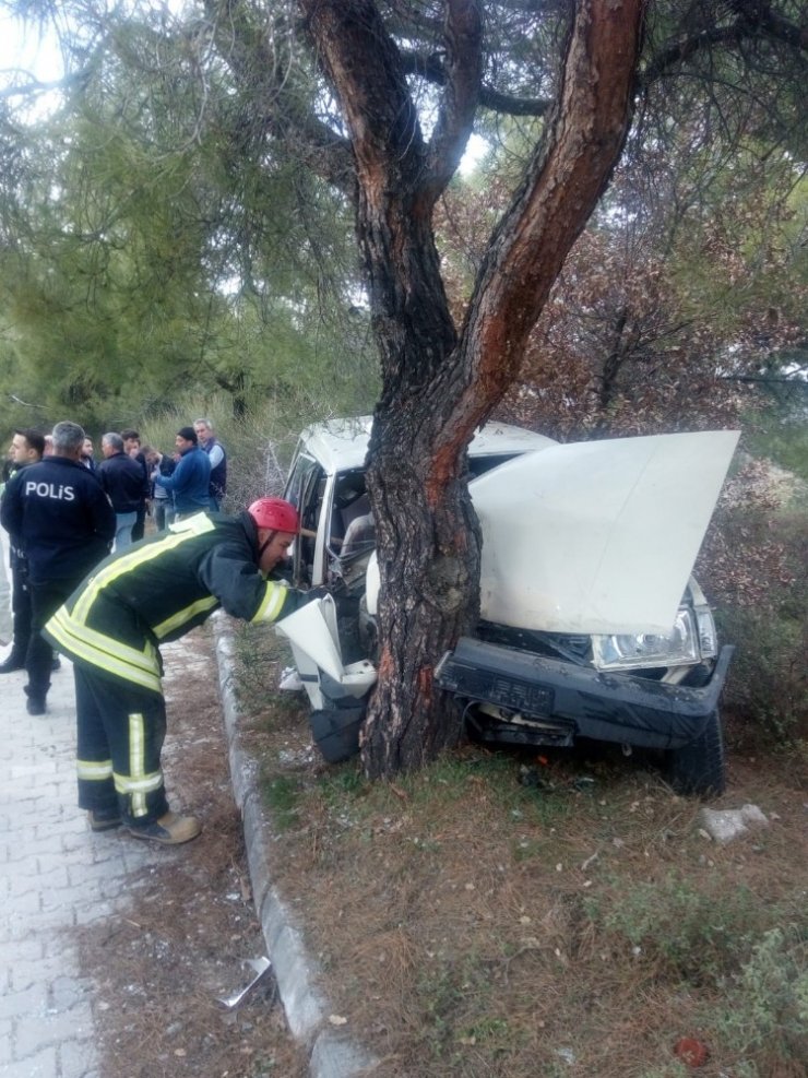 Denizli’de otomobil ağaca çarptı: 1 ölü, 1 yaralı