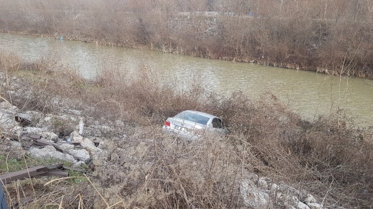 Otomobili sulara gömülmekten çalılıklar kurtardı