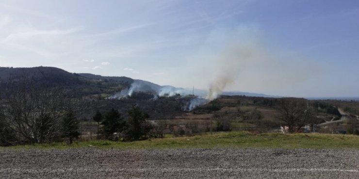 Türkeli ve Ayancık’ta orman yangını