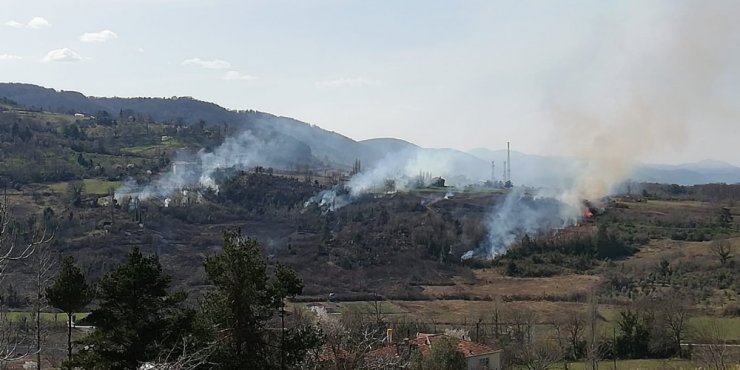 Türkeli ve Ayancık’ta orman yangını