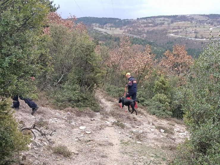 7 gündür kayıp kadını arama çalışmaları sonlandırıldı