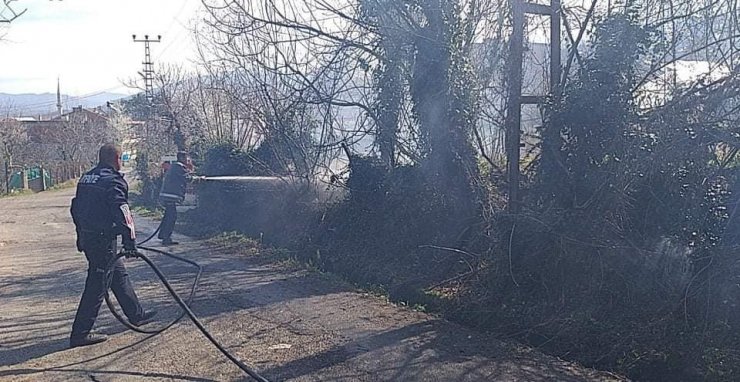 Alaplı’da ahşap ev alevlere teslim oldu