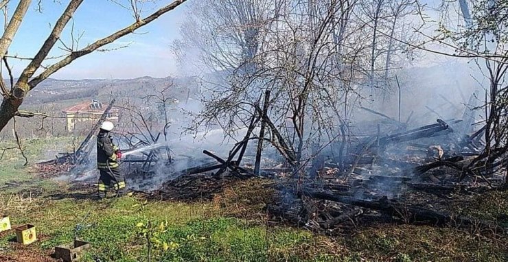 Alaplı’da ahşap ev alevlere teslim oldu
