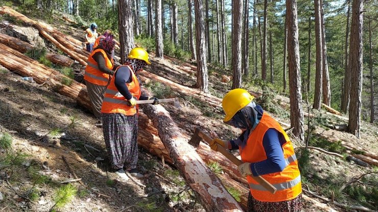 "Yılın kadını" Kunduz Ormanları’nda bulundu