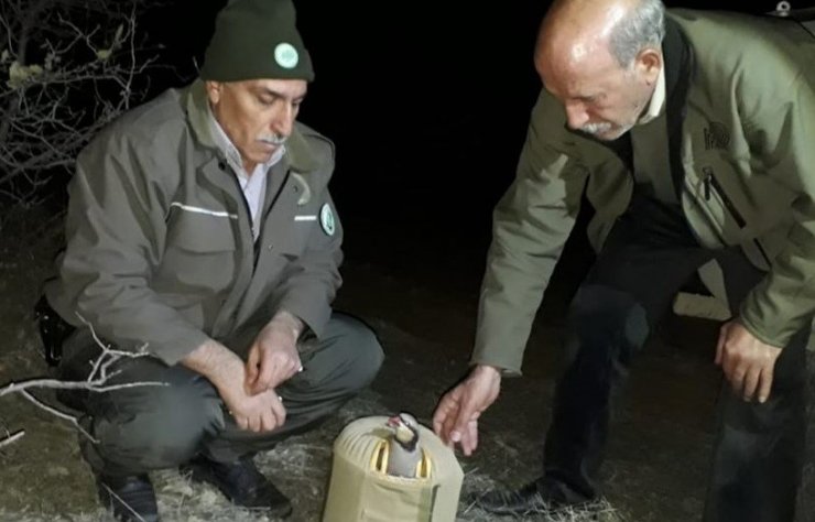 Elazığ’da kaçak avla mücadele, 6 şahıs yakalandı